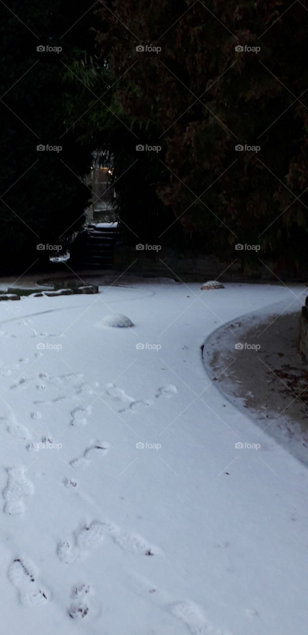 neige au parc Barbieux