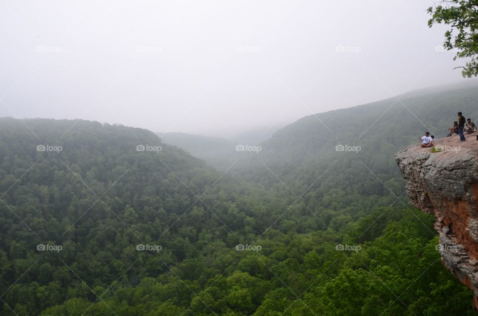 whitaker point fog