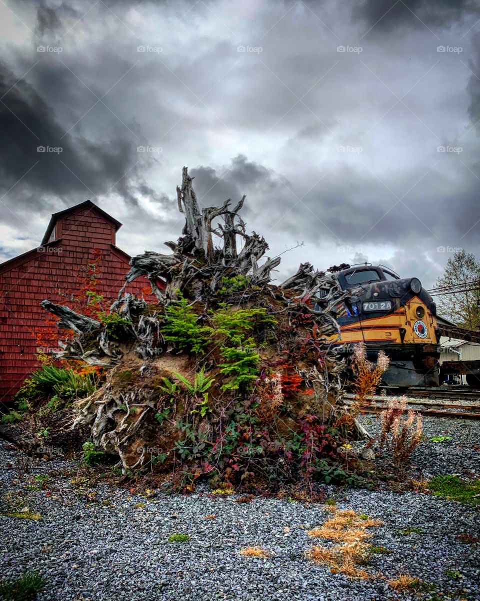 The beauty of nature is all around us, it’s just the way you look at it that matters. 