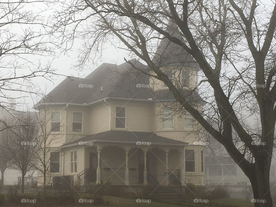 House and tree in fog 