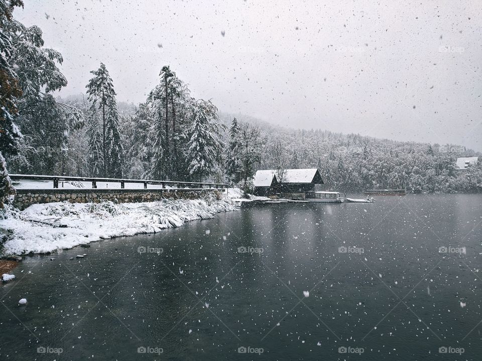 View of snowfall over the lake Bohinj and snow-covered Christmas trees in winter
