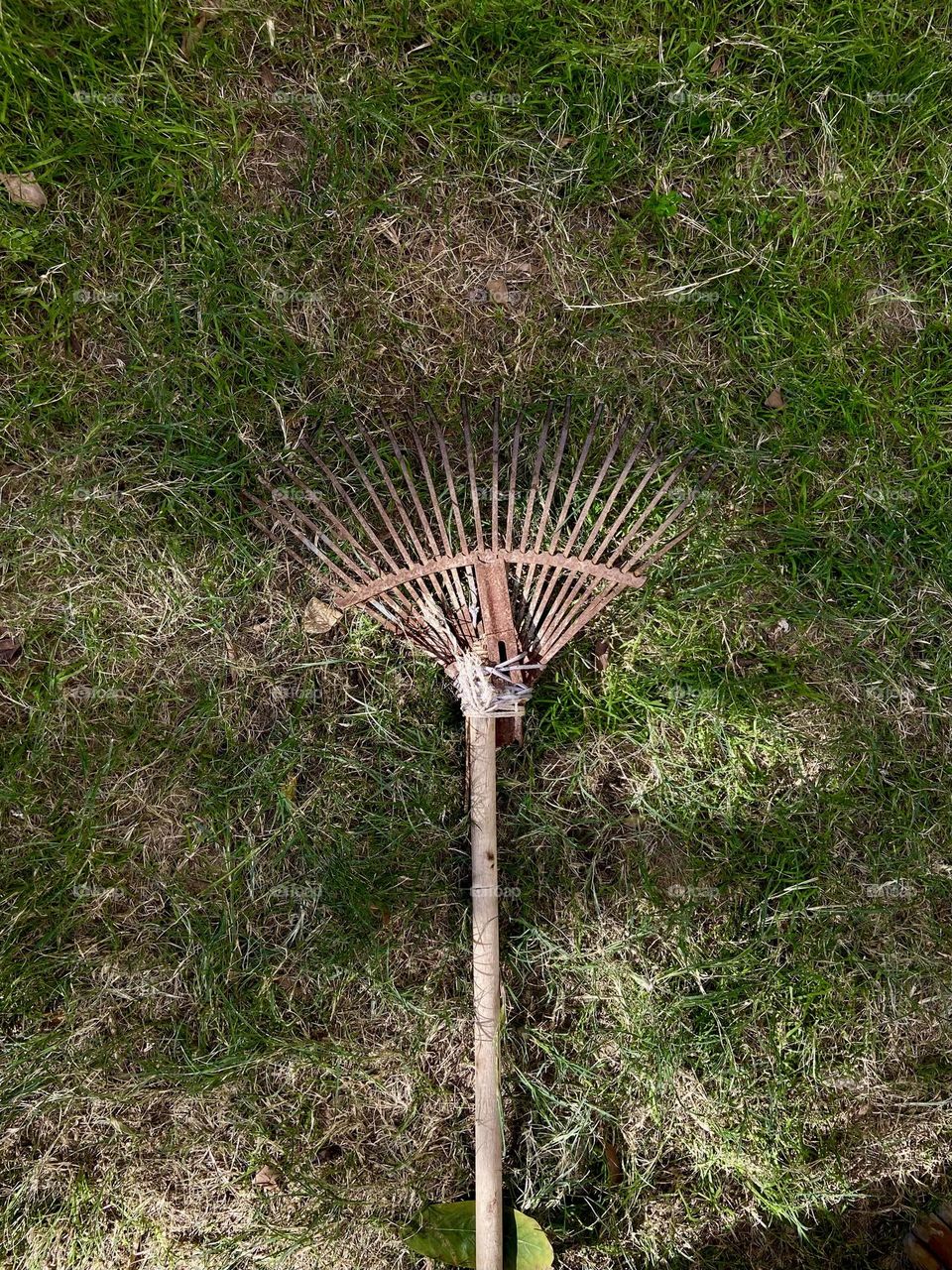 Garden fork