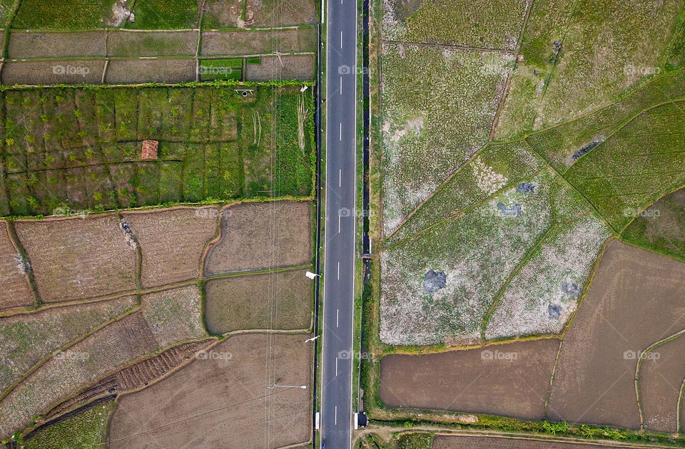 Bird view Industrial road in the middle of a lush rice fields