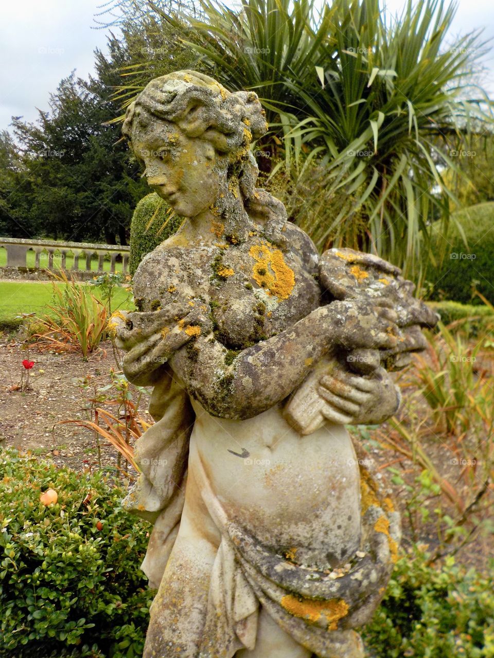 It appears to have stood awhile 