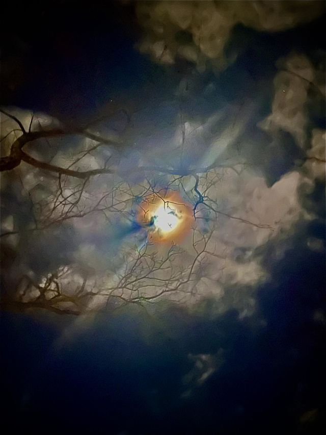 Moonlight 