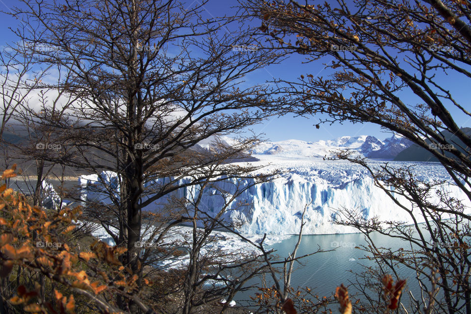 Winter nature - Perito Moreno in Patagonia Argentina.