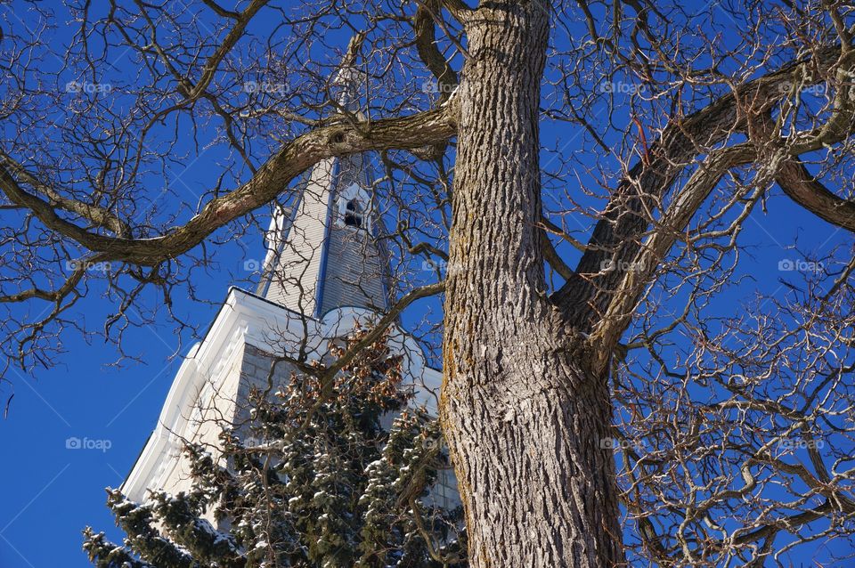 Religion . Church Steeple Through  the Trees