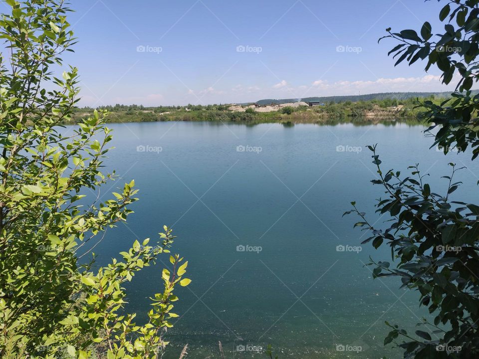 View of the river through the branches of trees