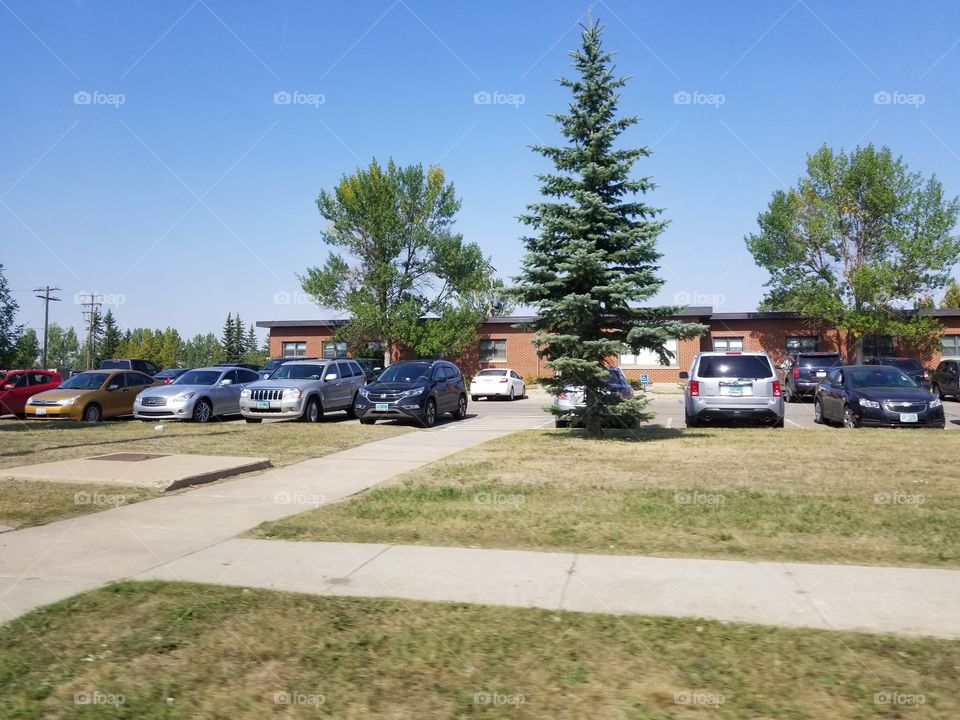 Car, Road, Vehicle, Transportation System, Accident