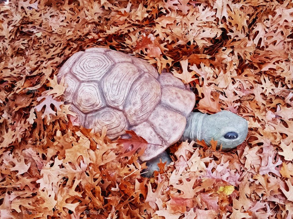 Turtle Statue in Fall Leaves