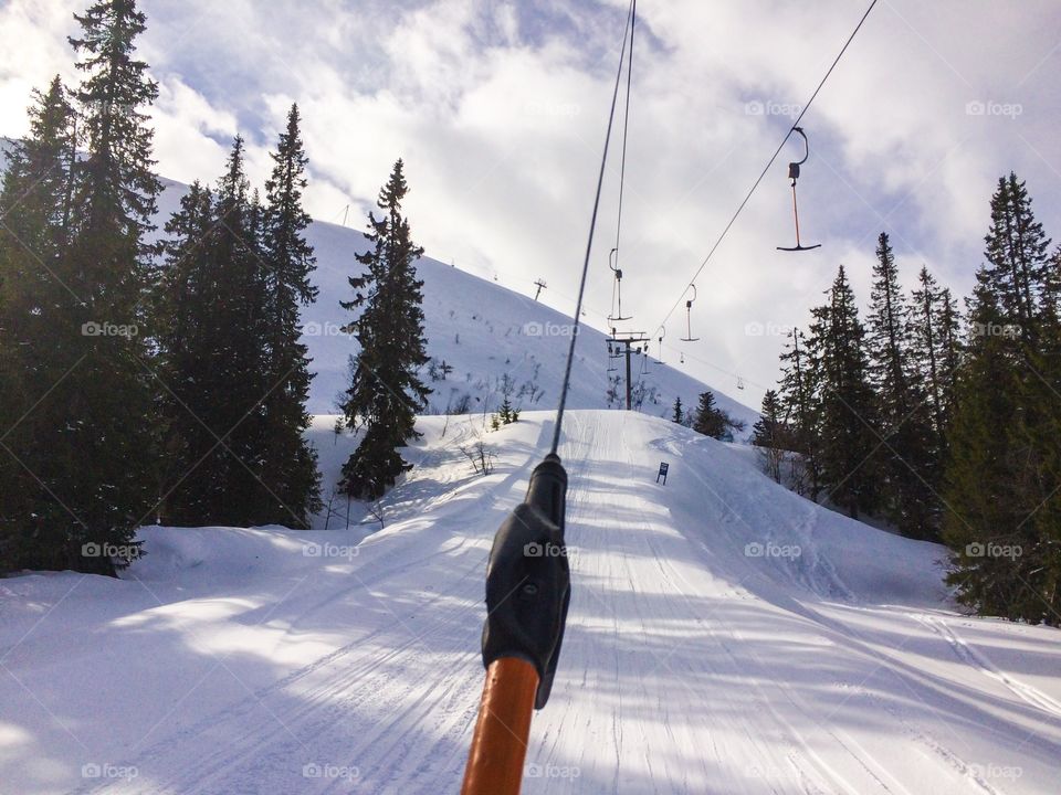 Snow, Winter, Cold, Skier, Wood