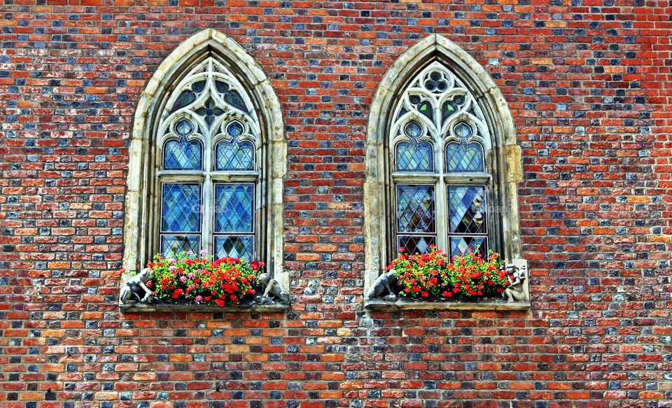 Gothic windows