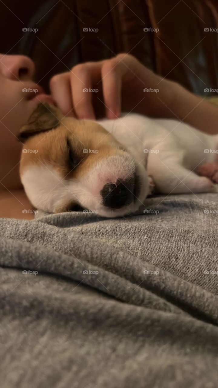 Sleep well, Pipa 😍