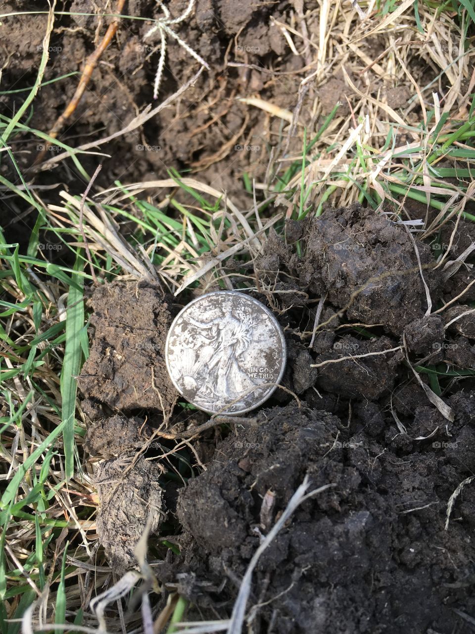 Metal detecting big silver is always fun!