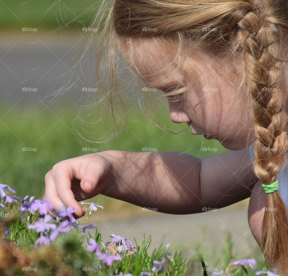 Pretty Flowers