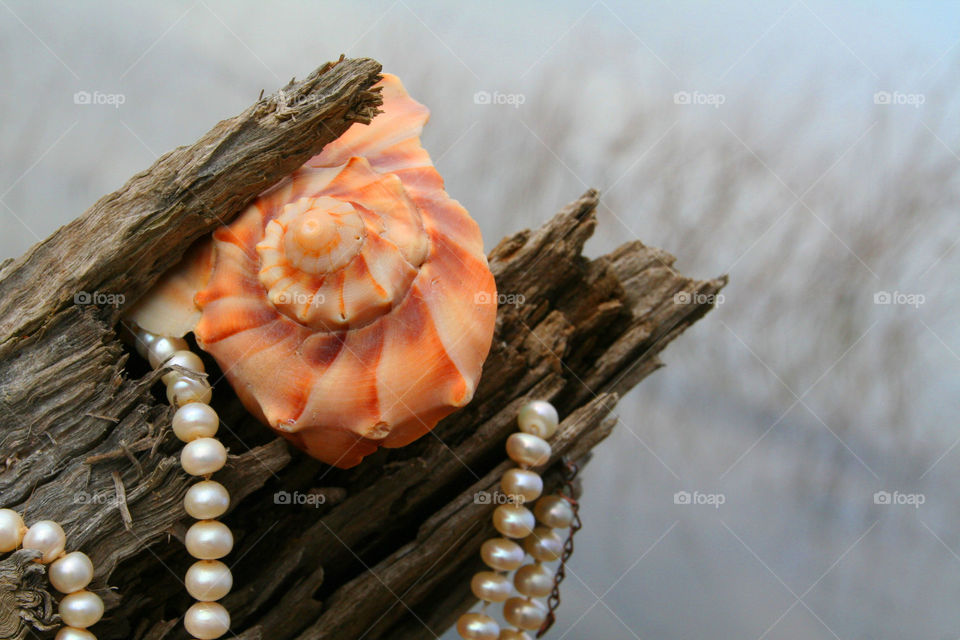 Pearl of Nature ( Series )