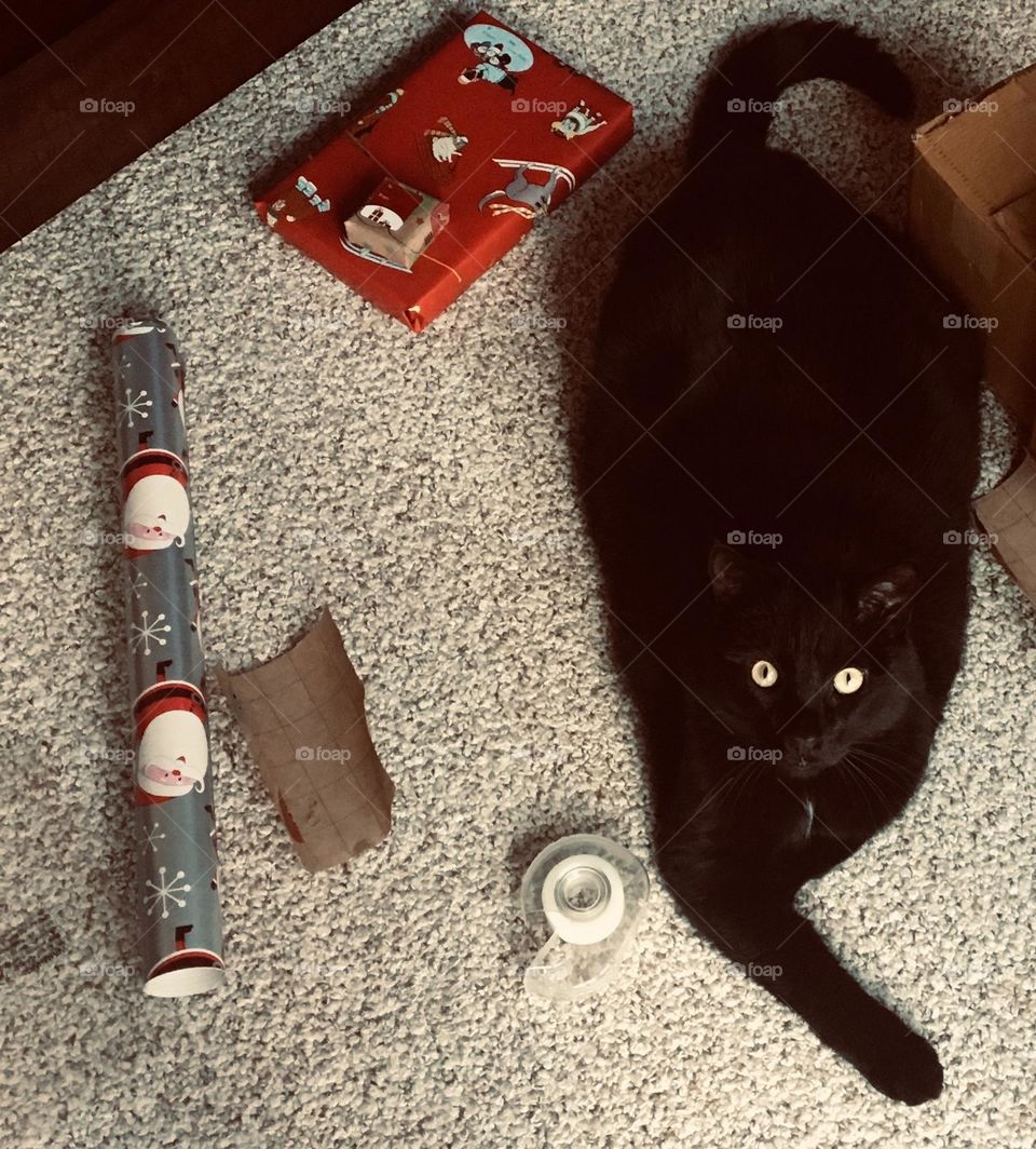 Christmas present wrapping companion