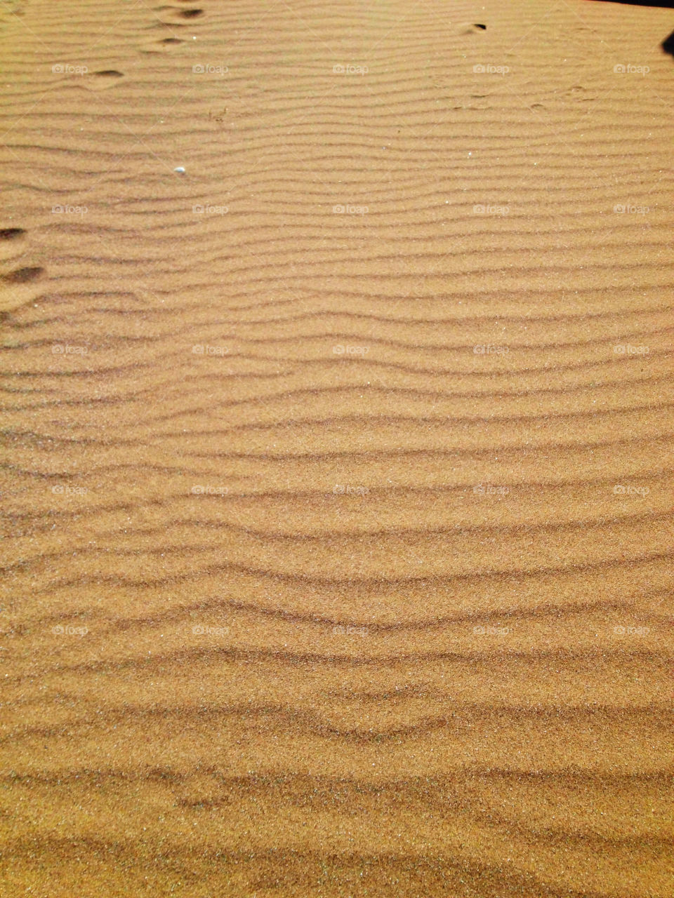 Ripples of the golden sand.