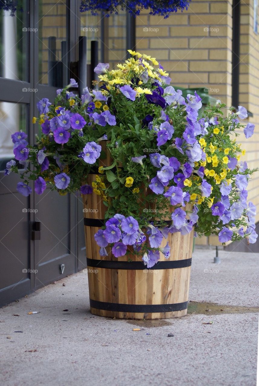 Decorate public service