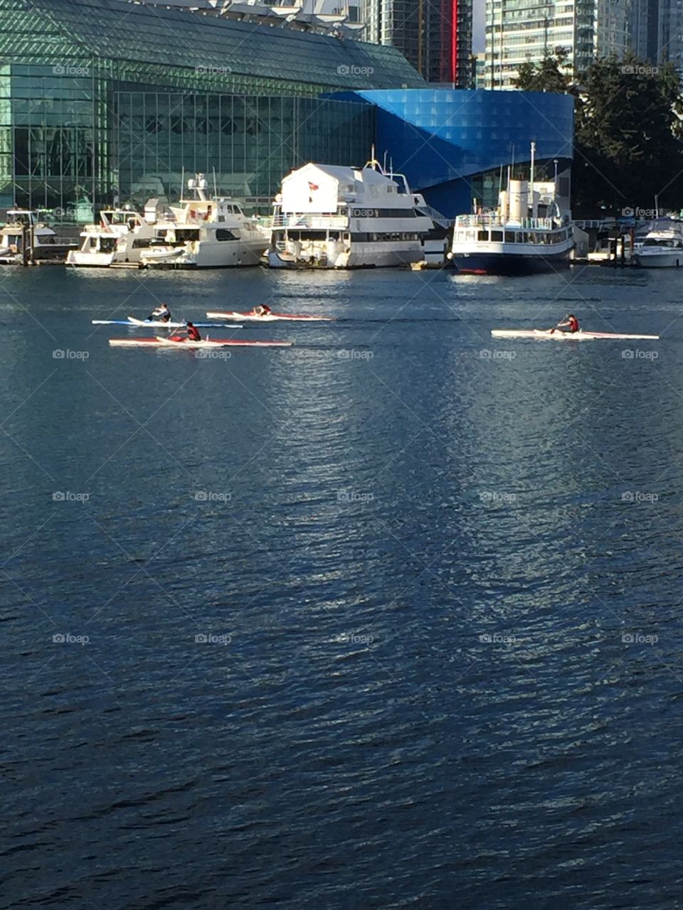 A beautiful day for rowing in the False Creek area in Vancouver, British Columbia 