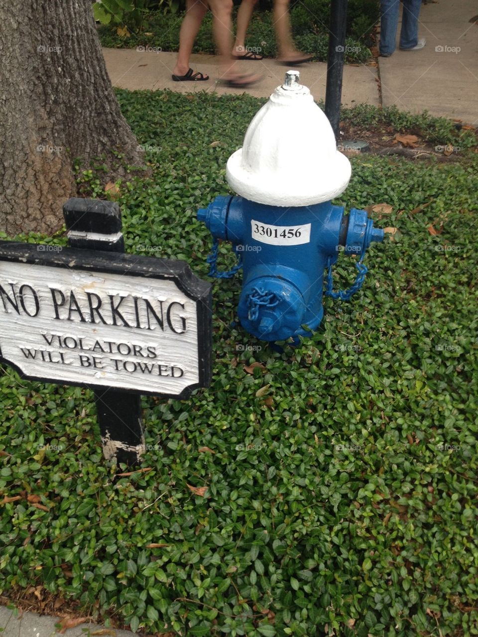Fire hydrant
