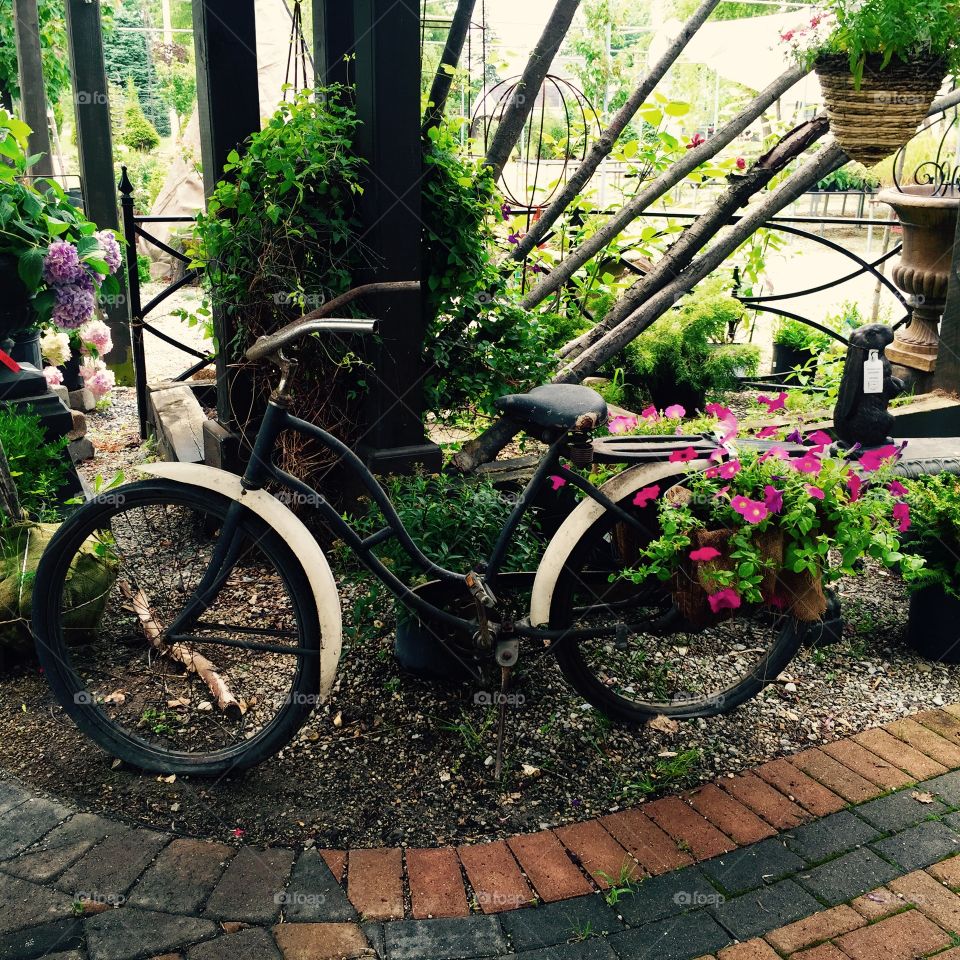 Old Garden Bicycle 