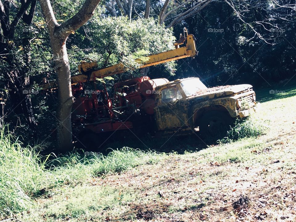 Abandoned truck in the woods