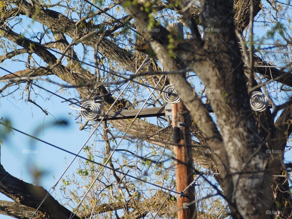 Practice on inanimate objects.