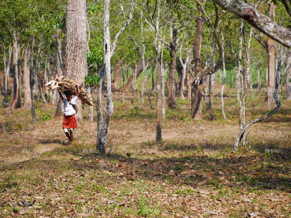 Native in Peryaar Reserve 