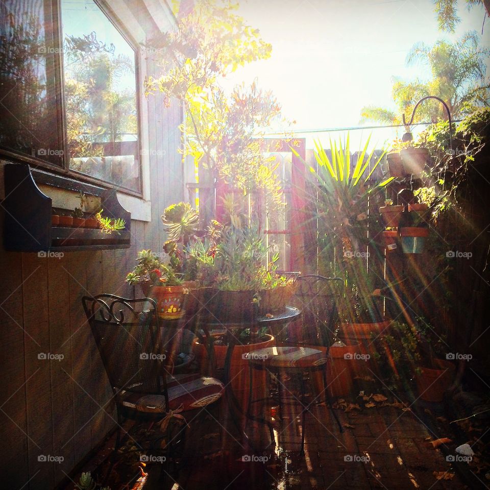 My patio. Just catching some rays