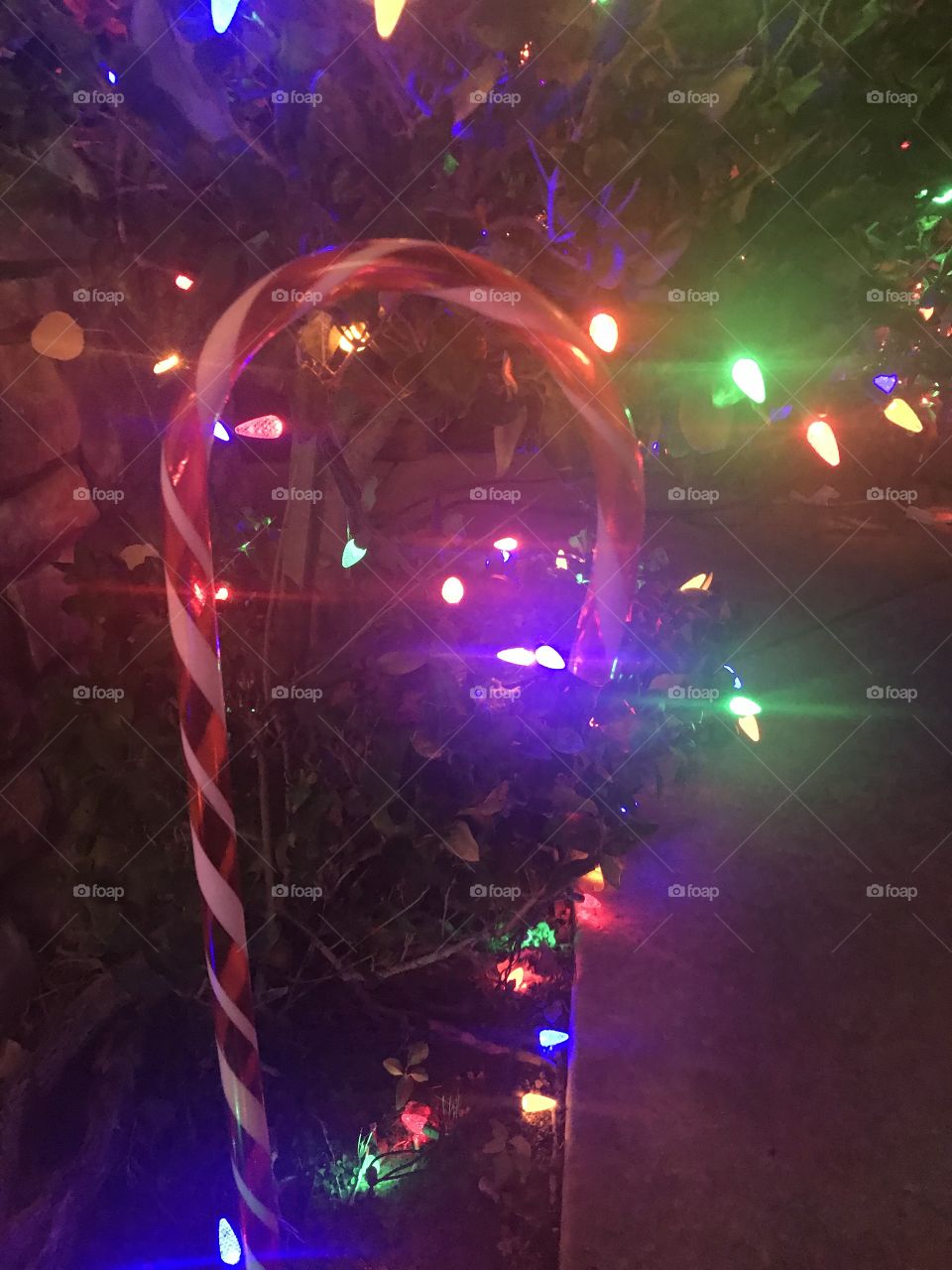 A tall red and white striped Christmas candy cane decoration surrounded by glowing bright holiday lights .  