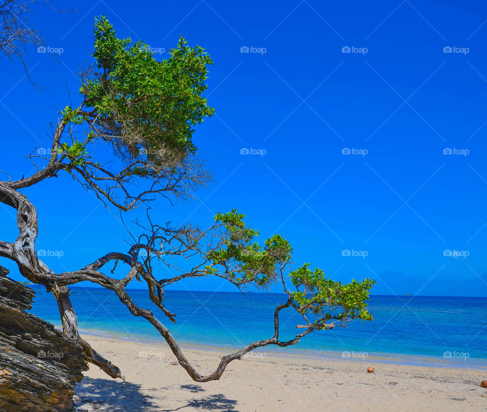 Travel around the world