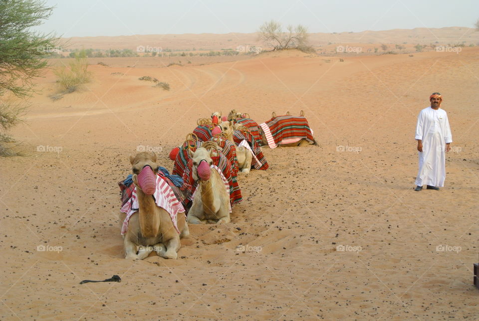 Day in the desert 