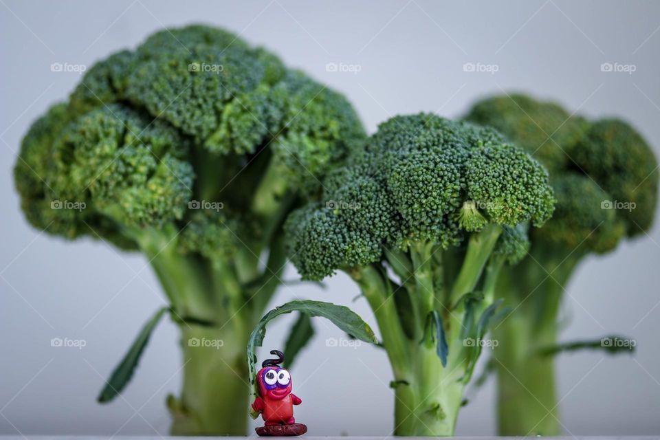 Cute red "thing" in a broccoli forest