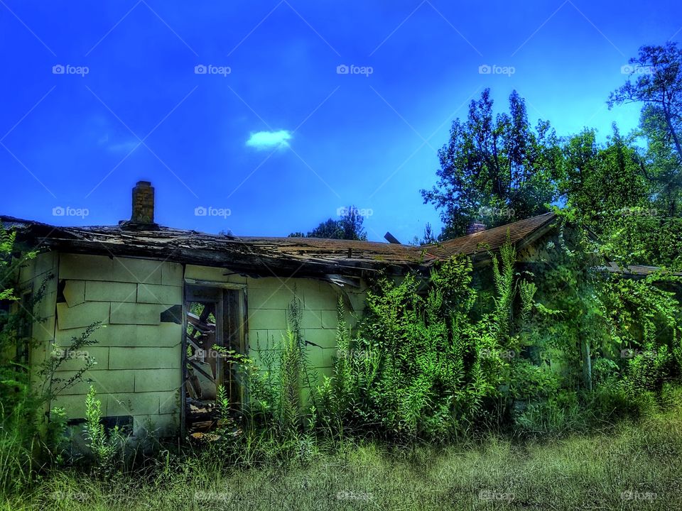 Abandoned and Gutted 1