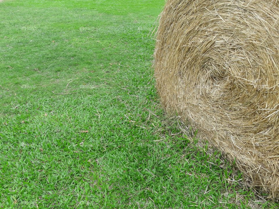 Hay stack on green lawn