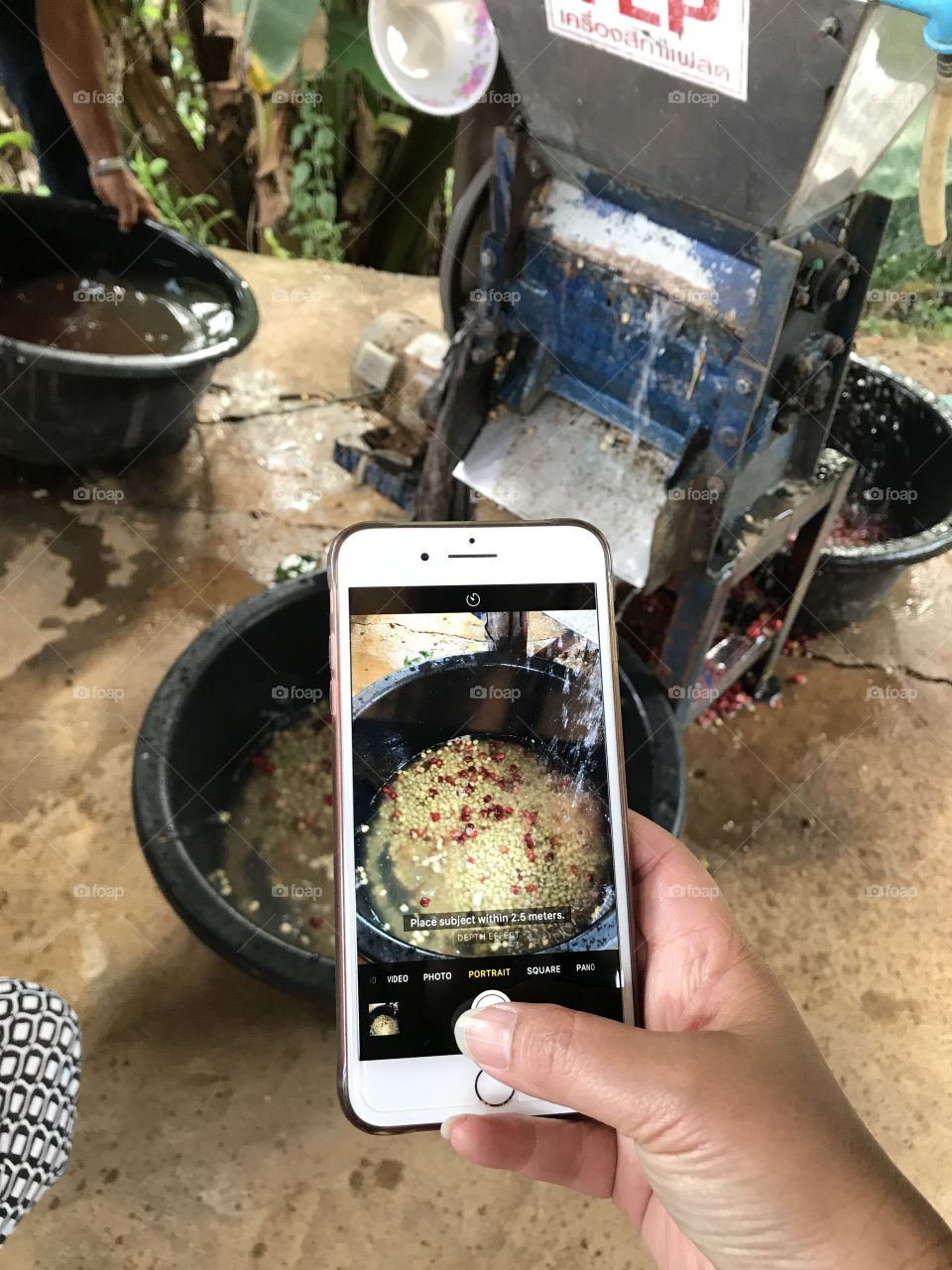 Not just memories but recorded hoe to transform cherry to coffee bean in Chaingmai Thailand and the coffee calls Muan Jai, try some !