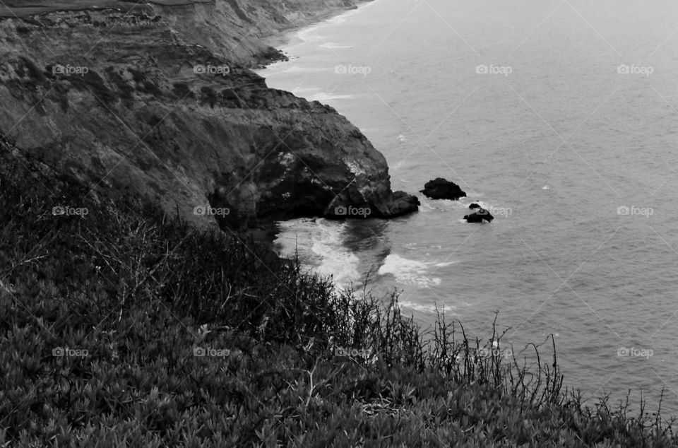 mussel rock black and white