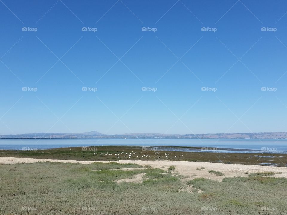 View of a sea against clear sky