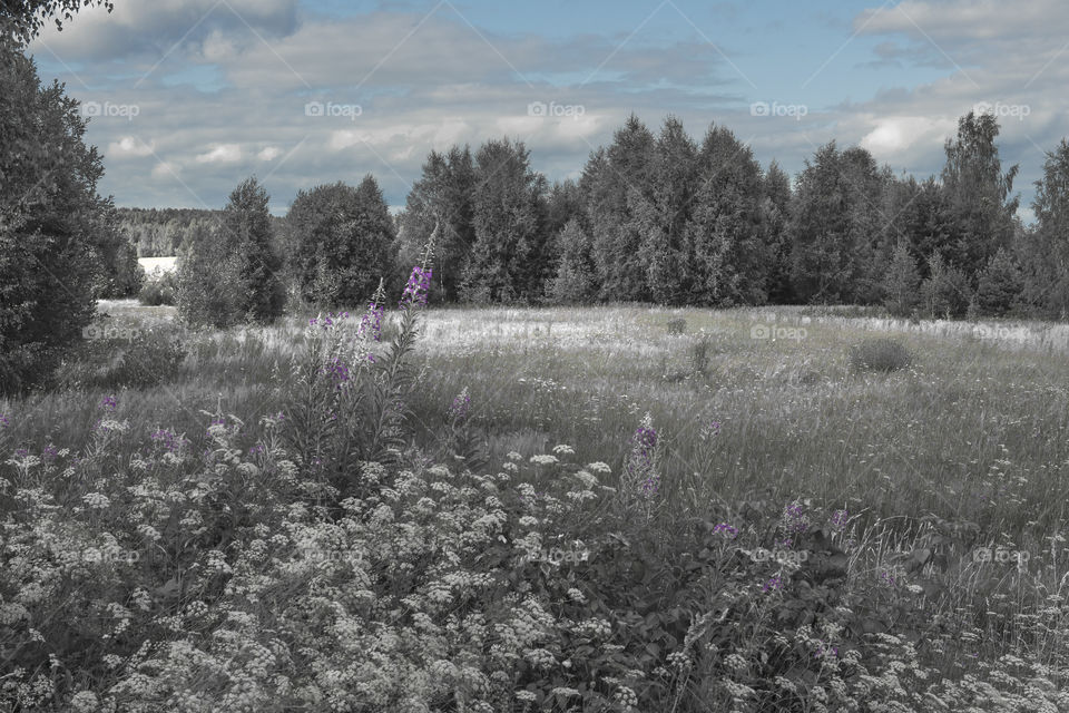 infrared landscape