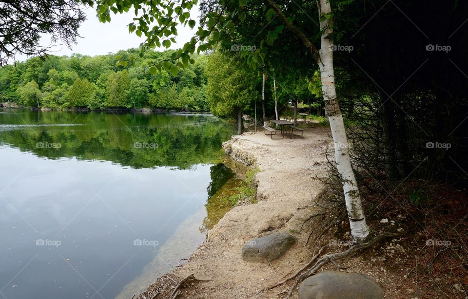 Nature. Quarry Deep