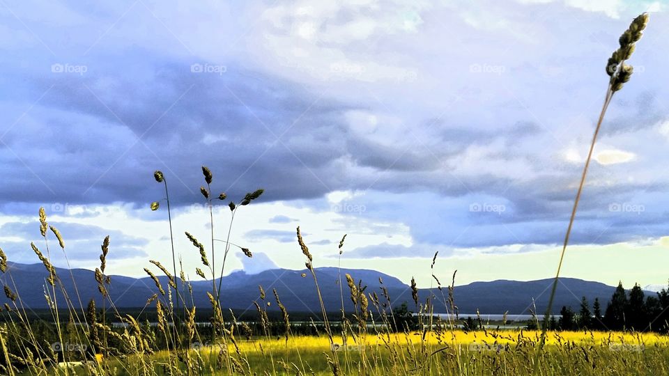 Mountain landscape. 