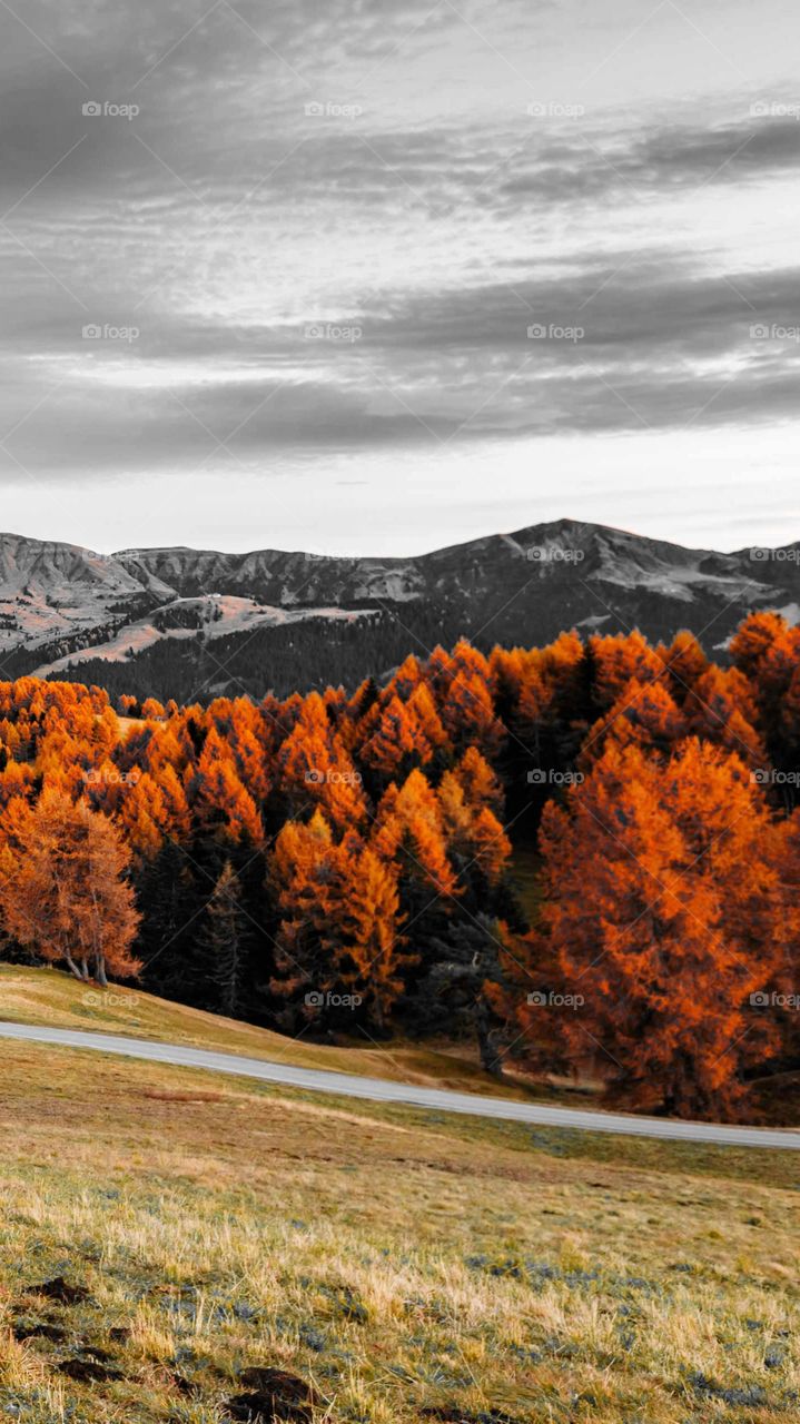 as time flows by......