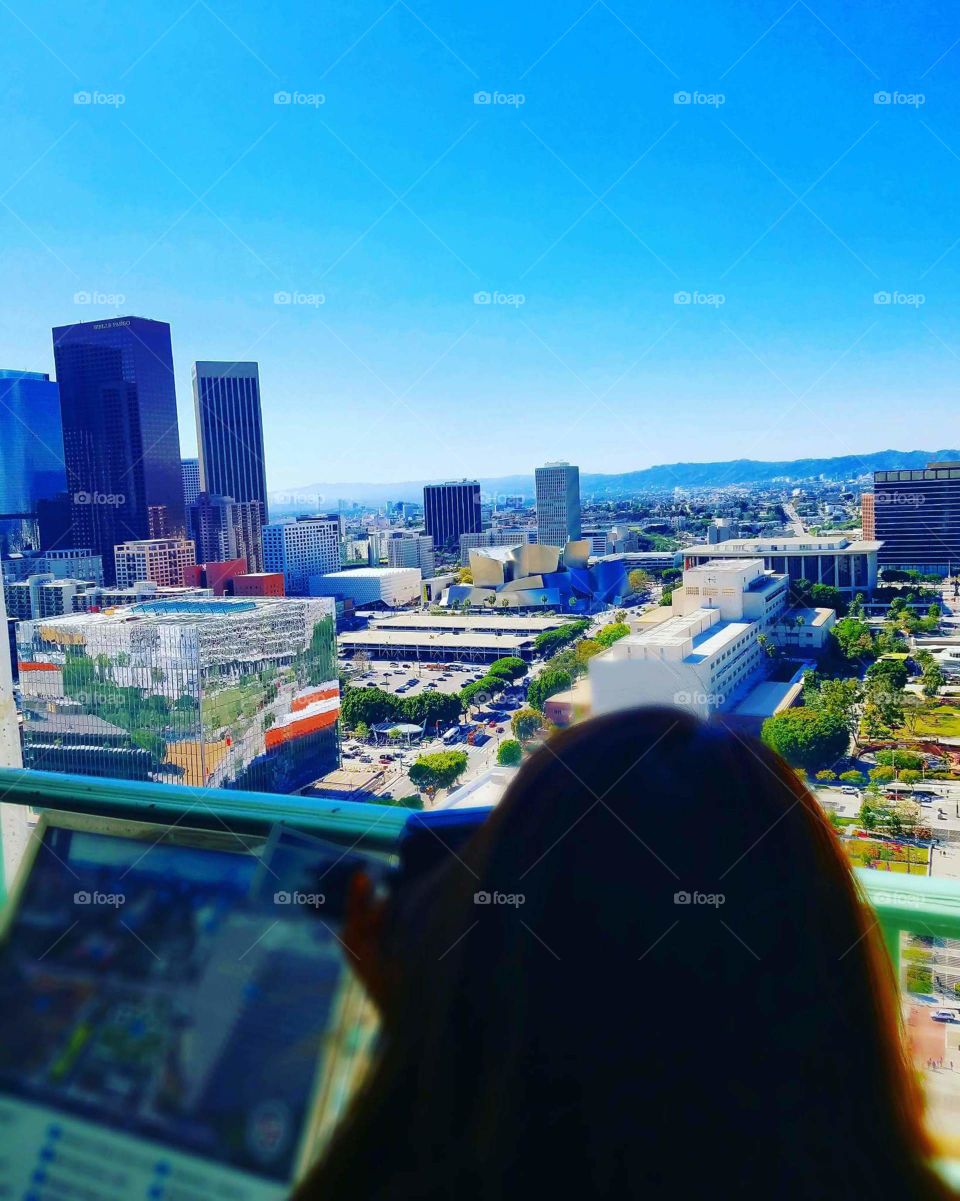 View from the LA City Hall