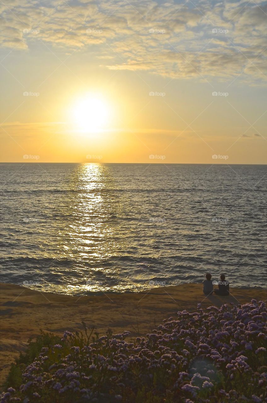 Californian nature and it's absolutely amazing, full of character, color and charm evenings.  