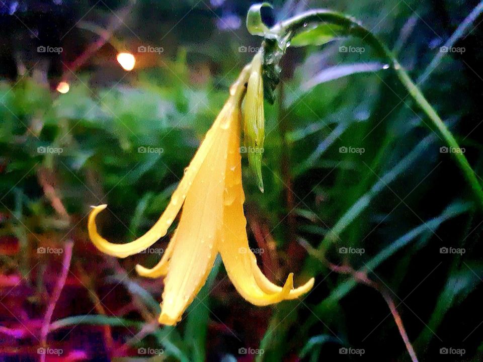 Autumn , always give somethin to see