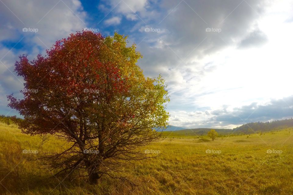 Fall in Bosnia