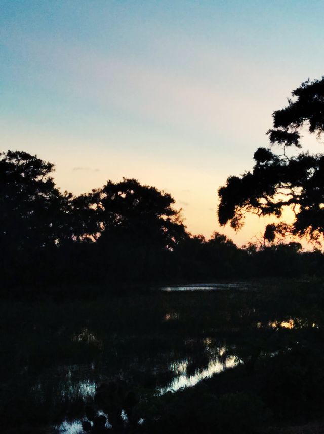 evening