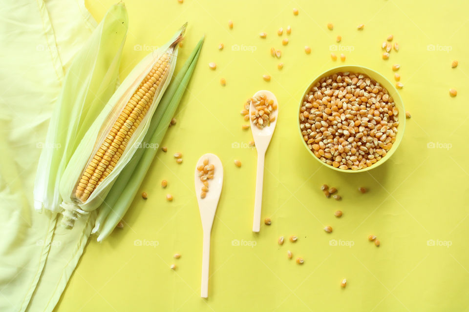 maize or corn in a yellow colour background . Agriculture and harvest concept.