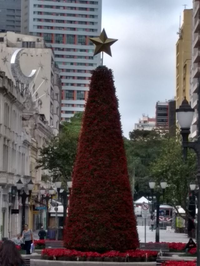 city